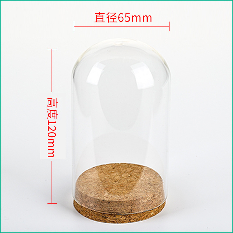 36pcs D65XH120mm Empty Clear G - Wedding Zoo review and price