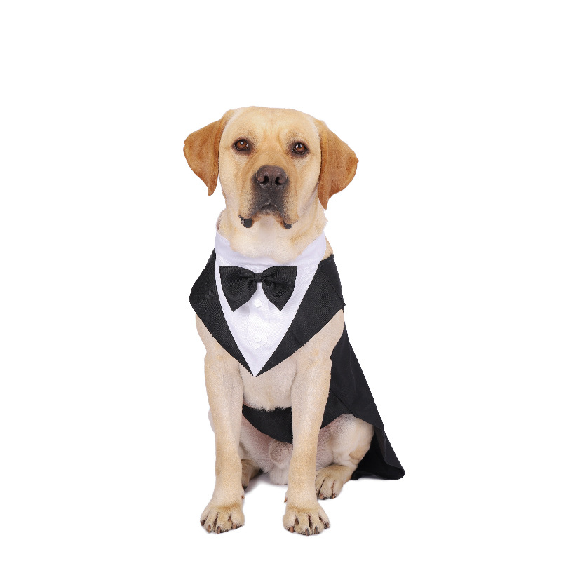 Pet Dog Clothes Fashion Party  - Suit Supply Wedding Party review and price
