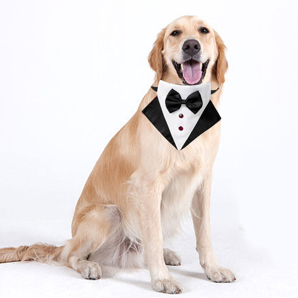 1Set Dog Suit and Bandana Dog  - Suit Supply Wedding Party review and price